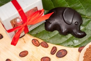 Elephant Shapped Chocolate Bar