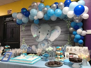 Elephant Baby Shower Decorations